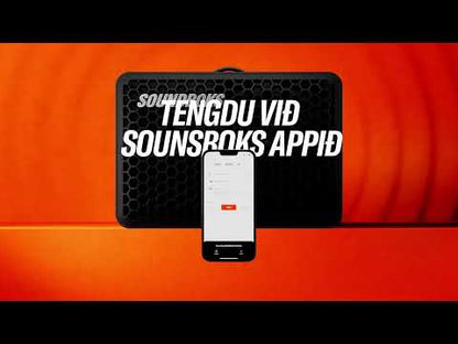 SOUNDBOKS Go